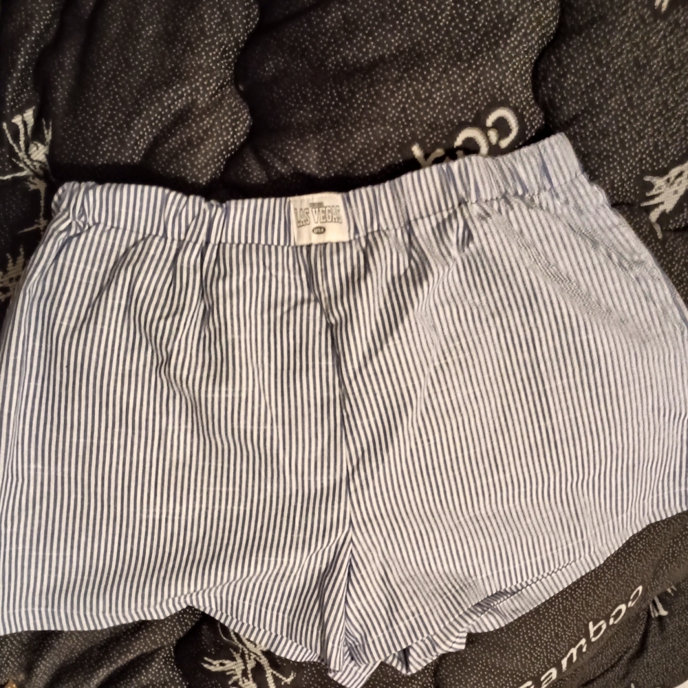 Shein Blue and White Striped Shorts